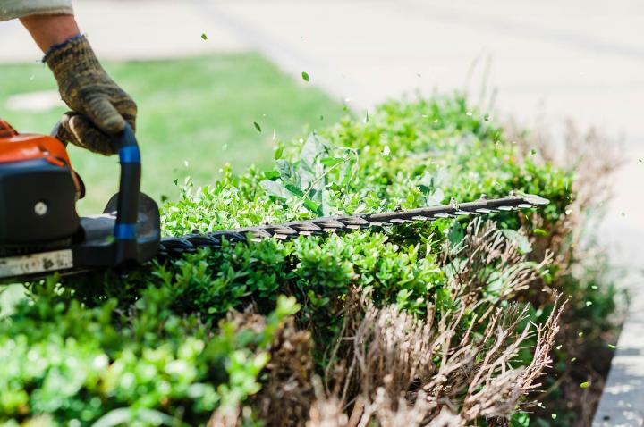 Entreprise de services à la personne Divonne-les-Bains