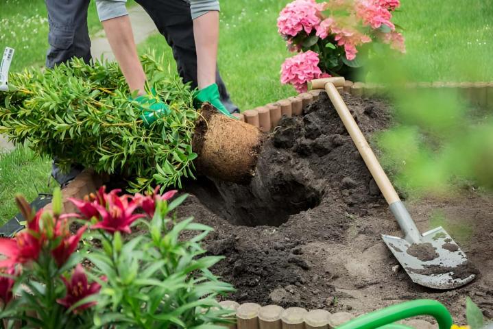 Entretien et création d'espaces verts Divonne-les-Bains