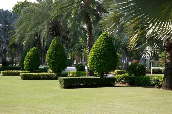 Création de jardin Divonne-les-Bains