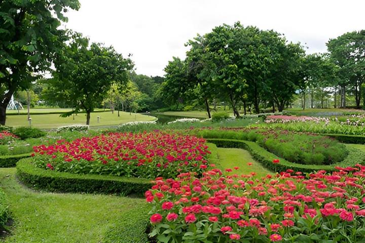 Entretien de jardin Divonne-les-Bains